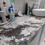 Alpinus White
